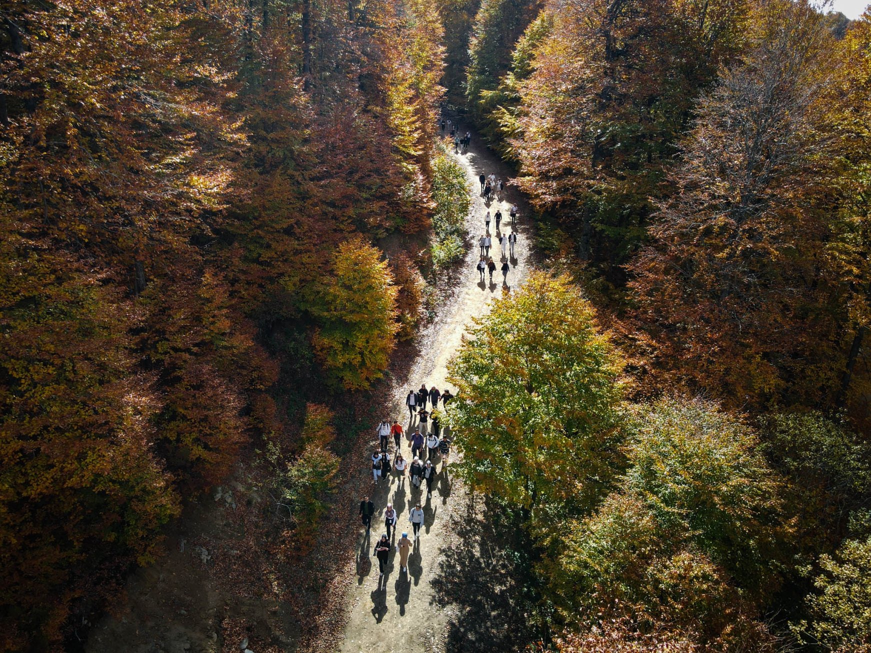Say đắm trước mùa thu đẹp quyến rũ trên dãy núi Domaniç Thổ Nhĩ Kỳ